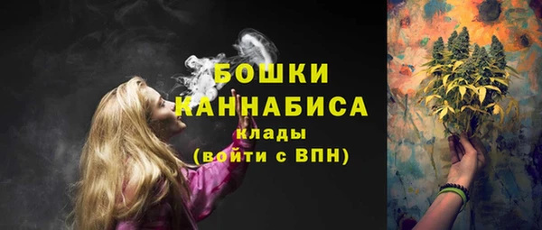 гашиш Богданович